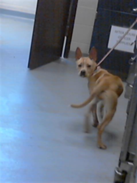 ID#A421679