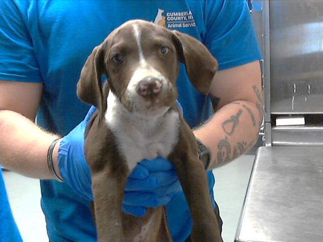 ID#A423857