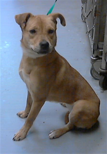 ID#A424826