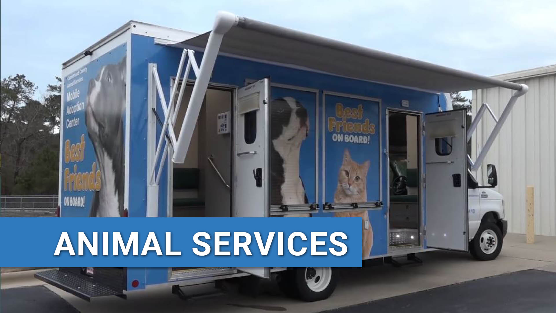 Animal Services