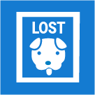 Lost or found a pet.