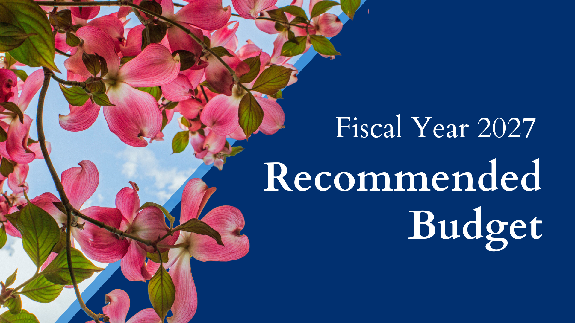 rec_budget_fy2027