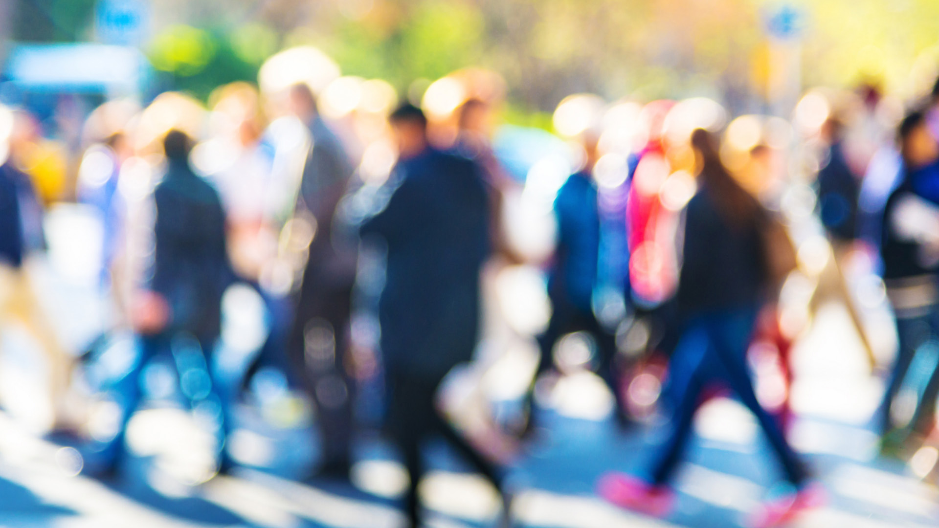 Upcoming Activities and Events