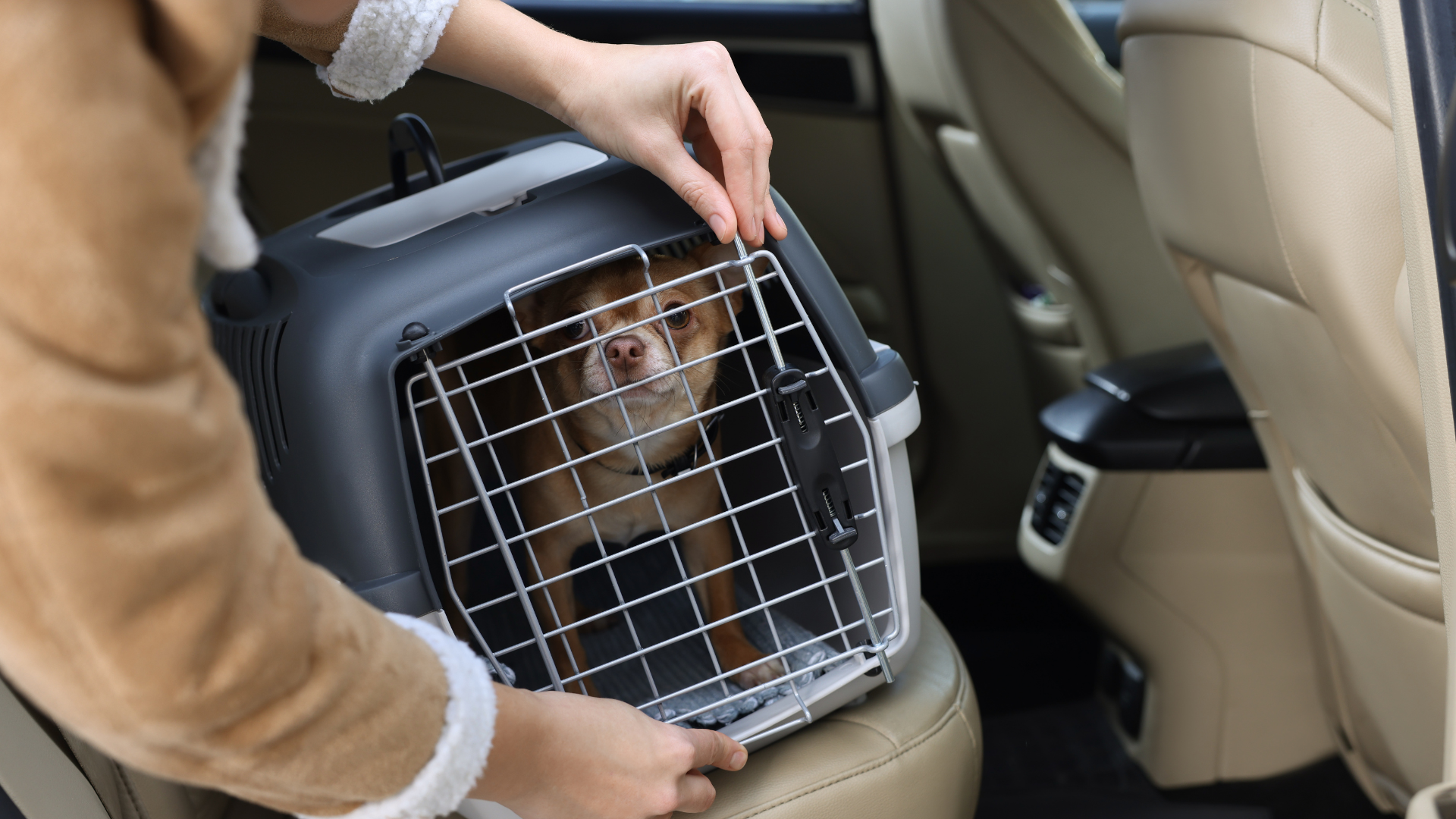 A small dog inside a pet carrier on a car seat