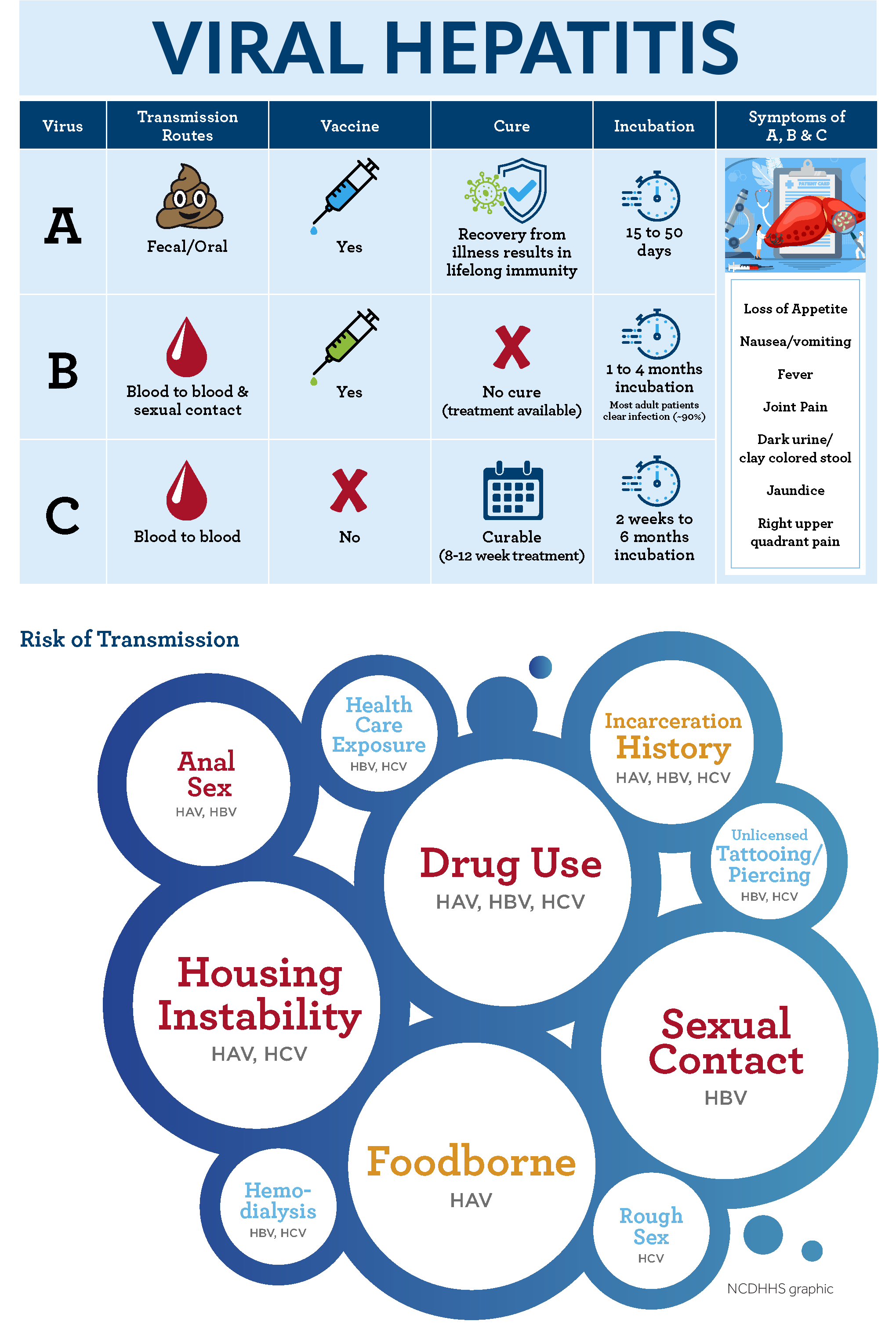 viral hepatitis infographic