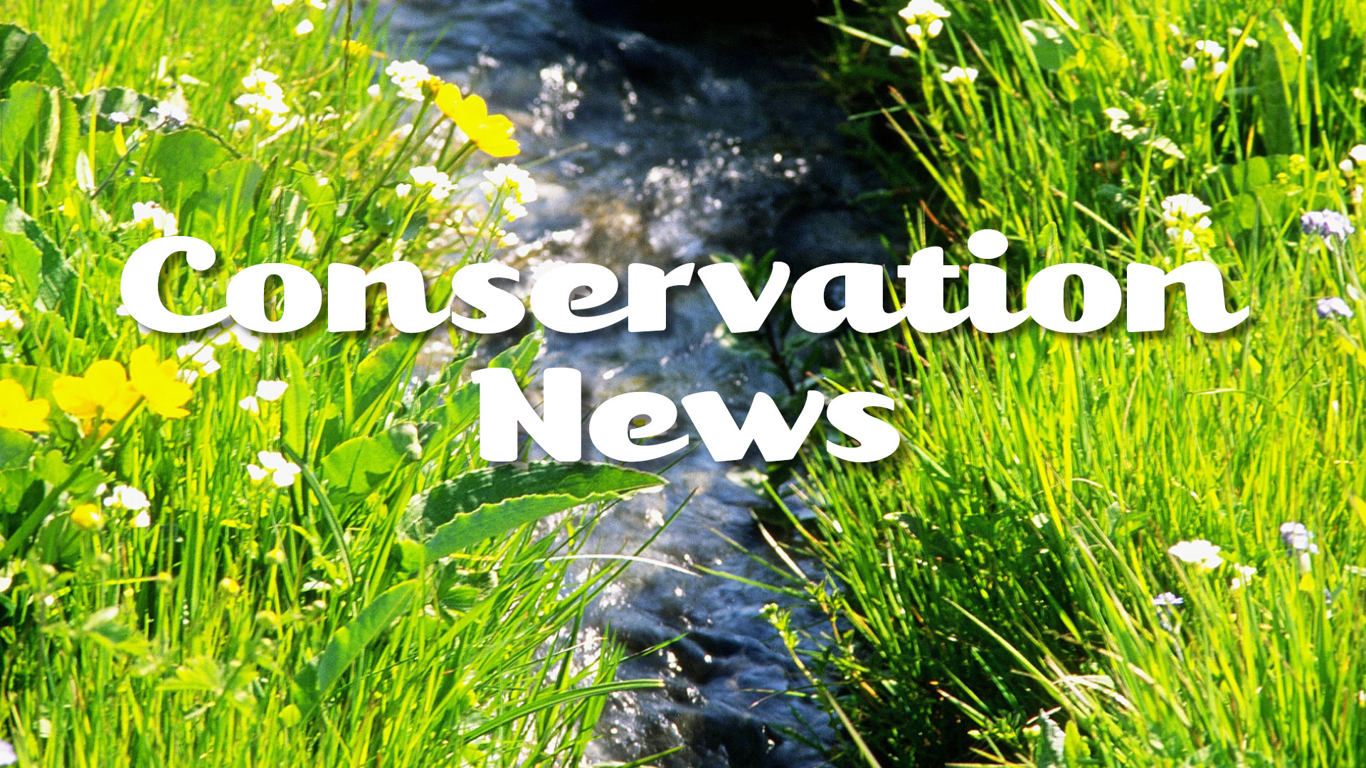 News and Upcoming Events