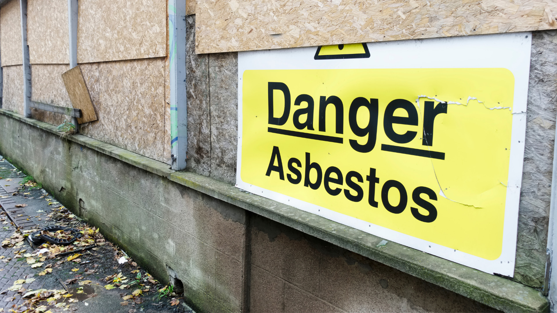 Asbestos Procedures