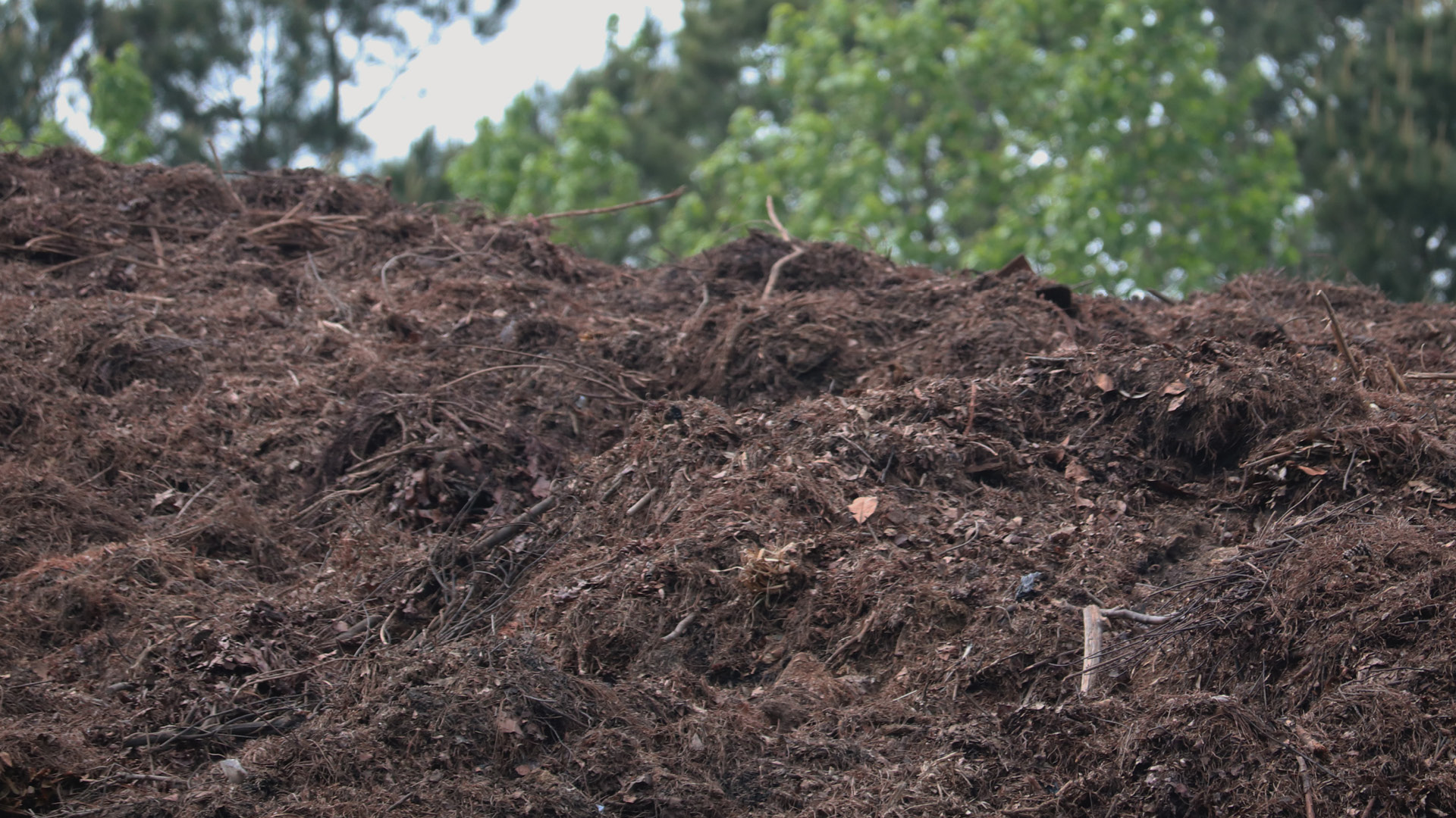 Wilkes Road Compost Facility